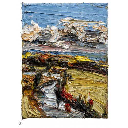 Donaublick bei Neuburg