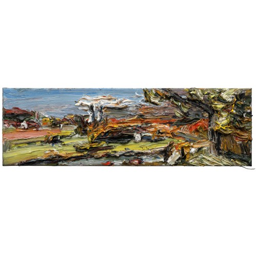 Donau-Panorama bei Neuburg 