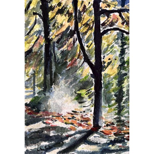 Morgenlicht im Grunewald