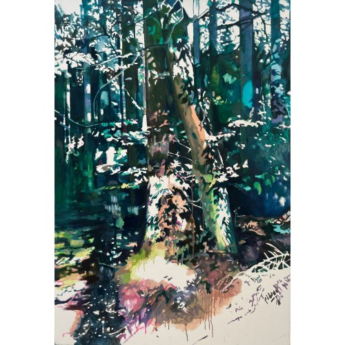 Vertrauter Schatten II