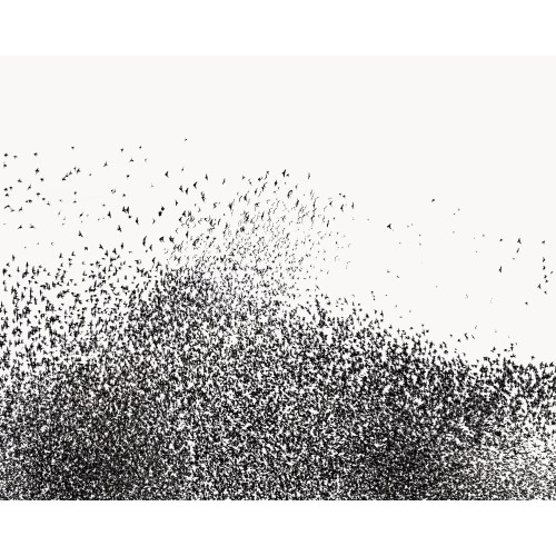 Murmuration IV
