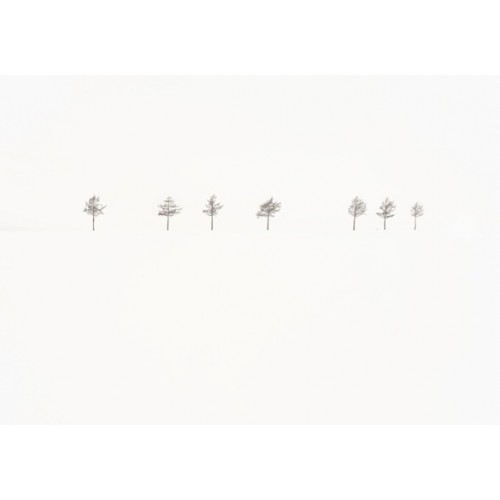 Homage to Akira Kurosawa