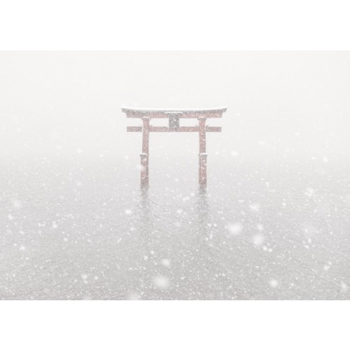 Falling Snow