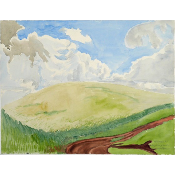 Aufsteigende Wolken