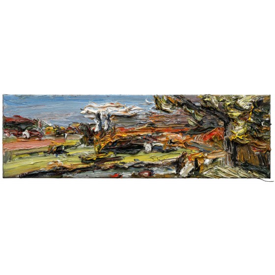 Donau-Panorama bei Neuburg 