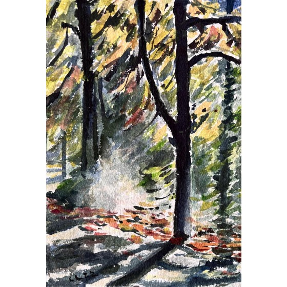 Morgenlicht im Grunewald