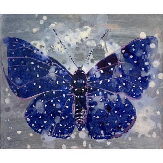 Blue farfalla