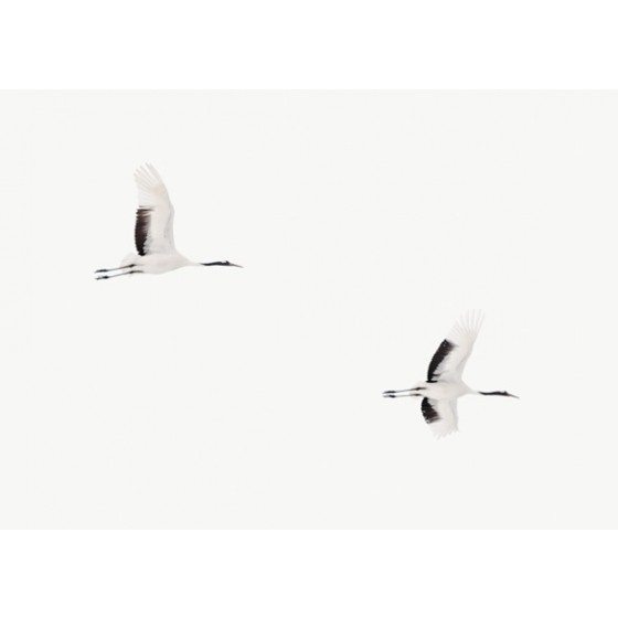 Flying Cranes II