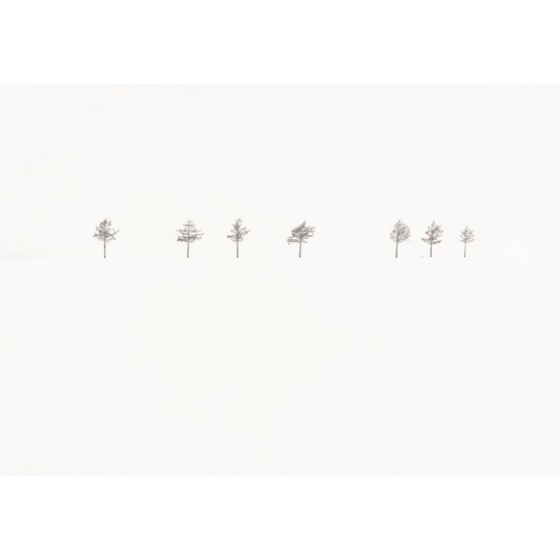 Homage to Akira Kurosawa