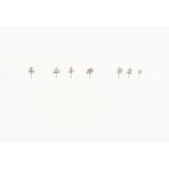 Homage to Akira Kurosawa