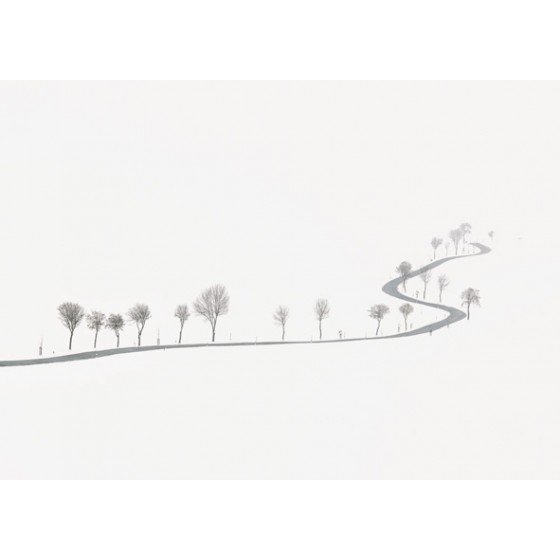 Winding Road