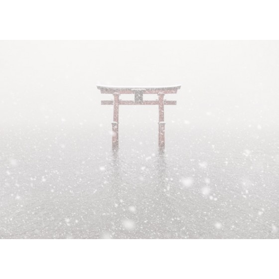 Falling Snow