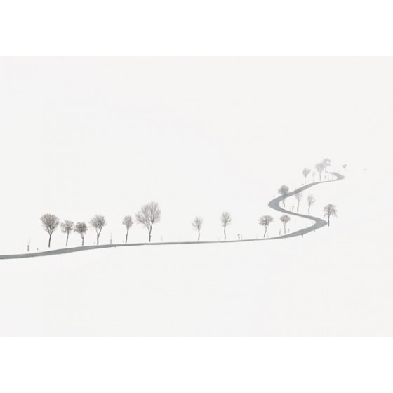 Winding Road