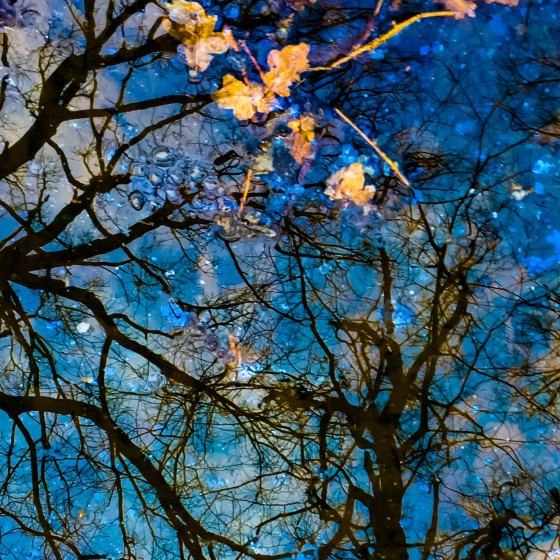 Blue Sky, 2018