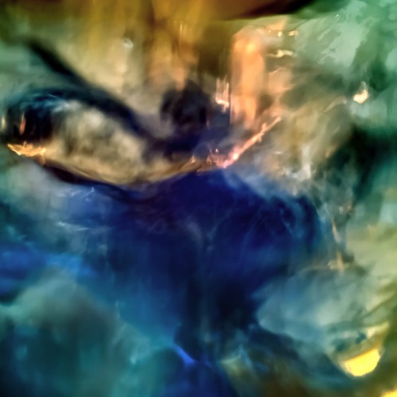 Blue Bull
