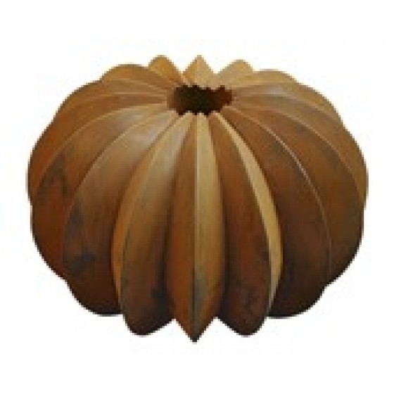 Stella della zucca