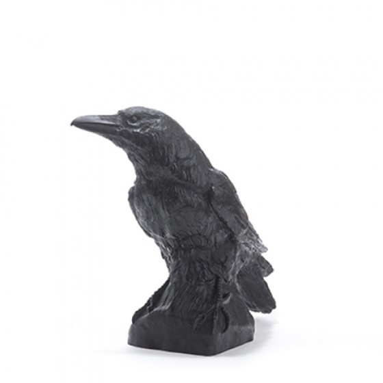 Rabe (schwarz, weiß)